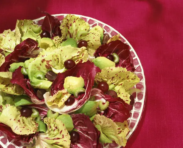 Radicchio Com Abacate Aipo Azeitonas Placa Sobre Superfície Vermelha — Fotografia de Stock