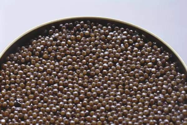 Black caviar in tin — Stock Photo, Image