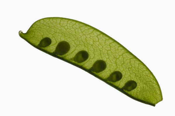 Sweet peas in pod — Stock Photo, Image