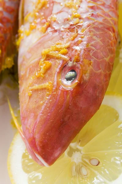 Świeży barwena z sosem cytrynowym — Zdjęcie stockowe