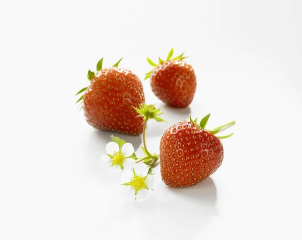 Fresas frescas maduras con flores —  Fotos de Stock