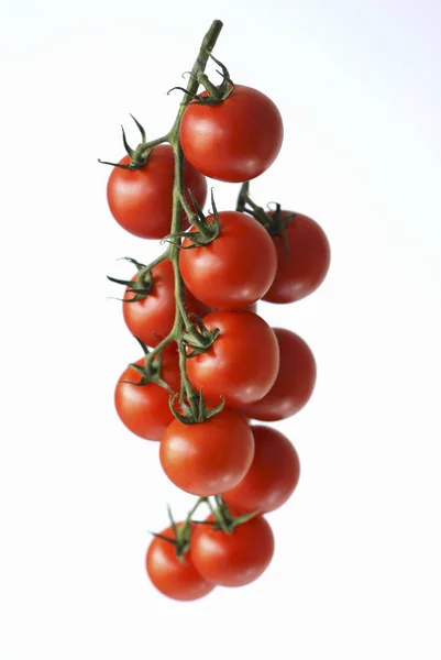 Tomates rojos maduros frescos — Foto de Stock