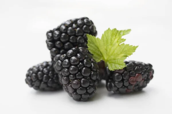 Fresh blackberries with leaf — Stock Photo, Image