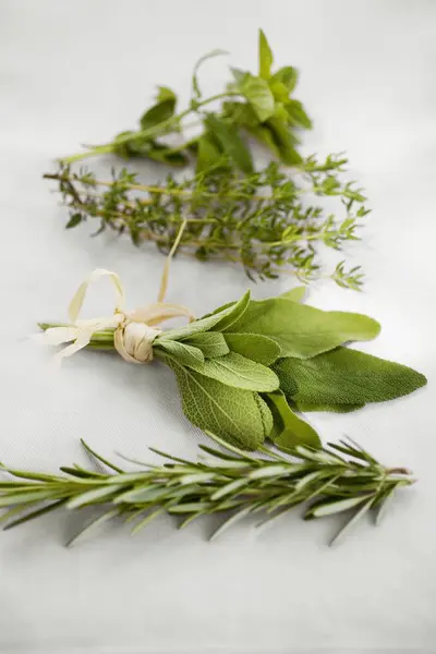 Fresh rosemary and oregano — Stock Photo, Image