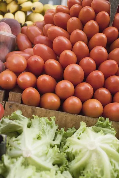 Kupie świeże pomidory śliwkowe w zagrodzie — Zdjęcie stockowe