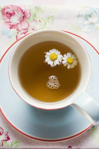 Cup of chamomile tea — Stock Photo, Image