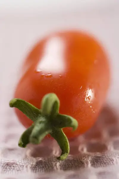 Taze erik domates — Stok fotoğraf