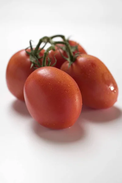 Fresh plum tomatoes — Stock Photo, Image