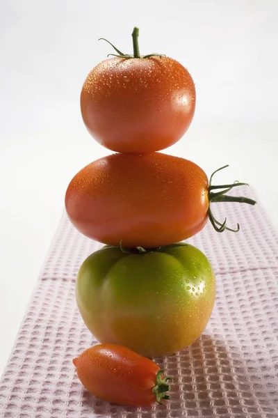 Groene en rode tomaten — Stockfoto