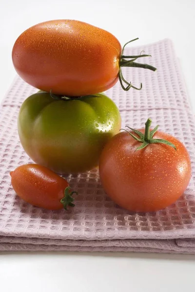 Kırmızı ve yeşil domates — Stok fotoğraf
