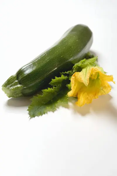 Green Courgette with flower and leaf — Stock Photo, Image
