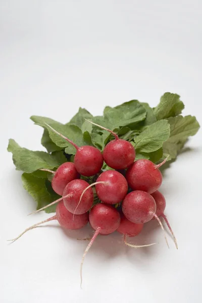 Bunch of fresh picked radishes — Stock Photo, Image