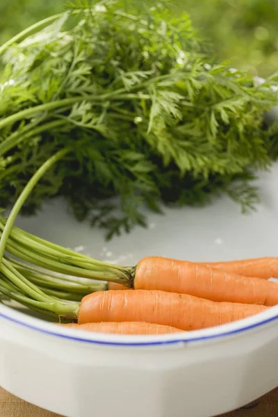 Fresh carrots with stalks — Stock Photo, Image