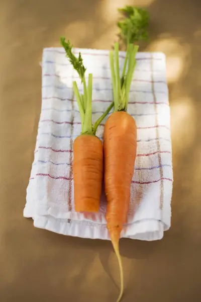 Cenouras frescas com talos — Fotografia de Stock