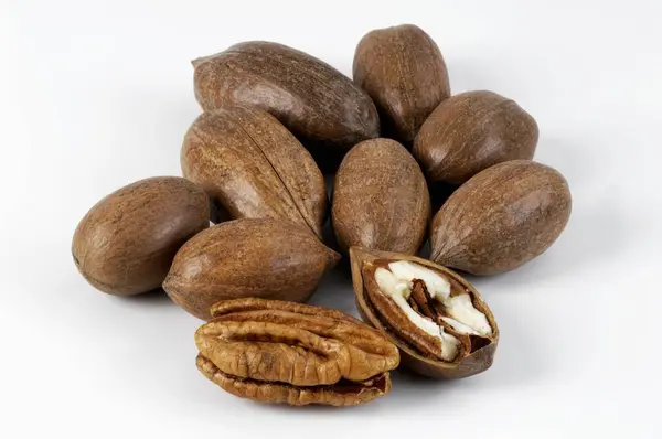 Opened and unopened Pecans — Stock Photo, Image