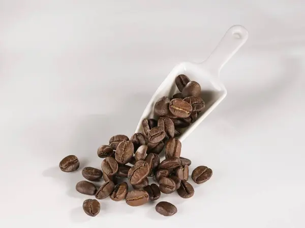 Coffee beans and ceramic scoop — Stock Photo, Image