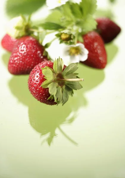 Frische reife Erdbeeren — Stockfoto