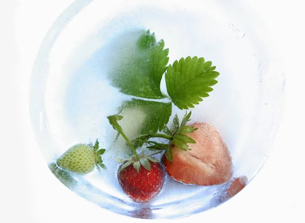 잎 냉동된 딸기 — 스톡 사진