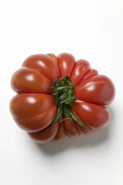 Tomate de boeuf rouge — Photo