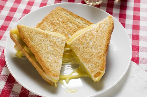 Geroosterde kaas sandwich — Stockfoto