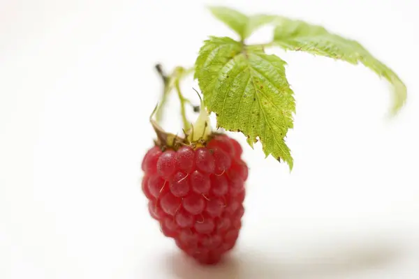 Fresh Ripe Red Rapsberry — Stock Photo, Image