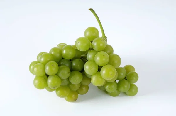 新鲜成熟的绿色葡萄 — 图库照片