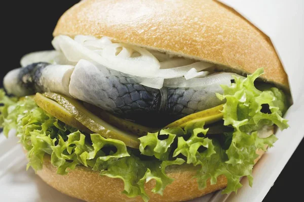 Ringa balığı turşusu ekmek ve soğan ile rulo — Stok fotoğraf