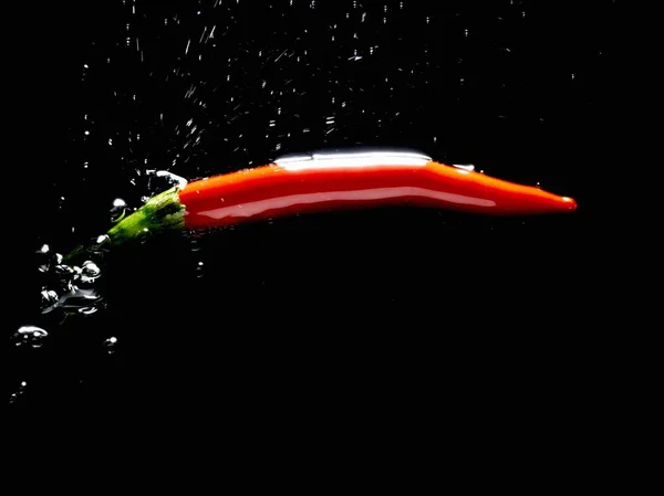 Chile rojo pimienta en agua — Foto de Stock