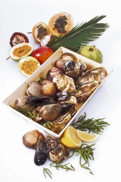 Closeup View Assorted Shellfish Fruit — Stock Photo, Image