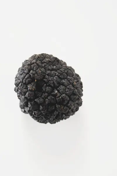 Φρέσκια μαύρη τρούφα — Φωτογραφία Αρχείου
