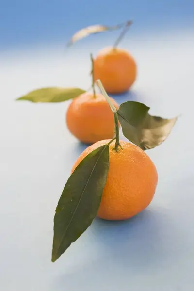 Clementinas frescas maduras — Foto de Stock