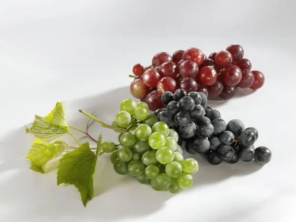 Verschillende soorten rijpe druiven — Stockfoto