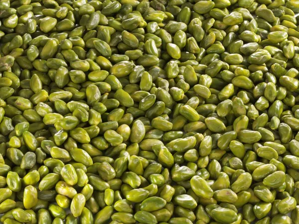 Pistachos frescos con cáscara — Foto de Stock