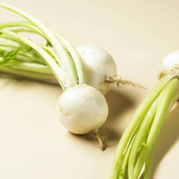 Fresh picked White turnips — Stock Photo, Image