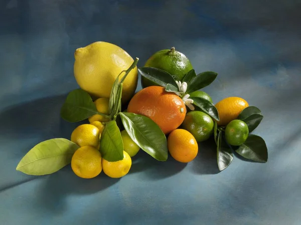 Fresh and organic citrus fruits — Stock Photo, Image