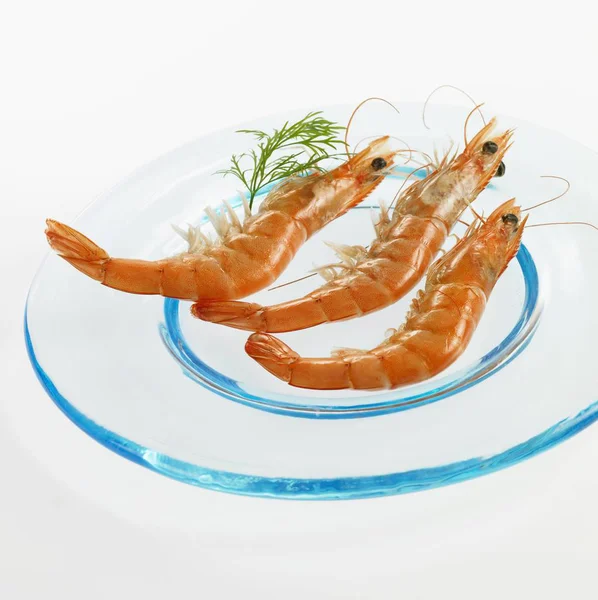 Three shrimps on a glass plate — Stock Photo, Image