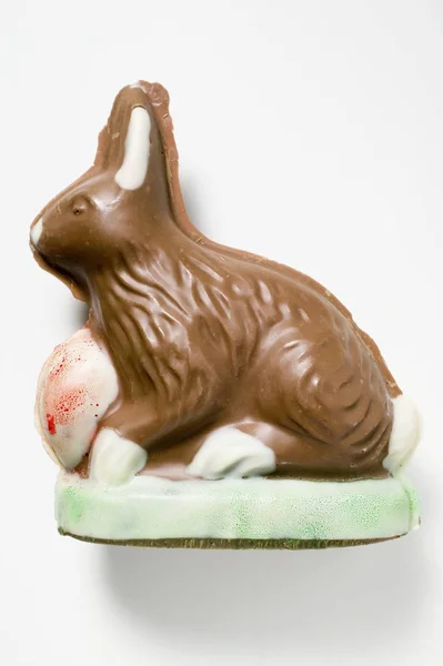 Chocolate Easter Bunny — Stock Photo, Image