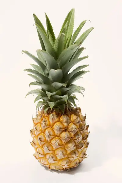成熟的婴儿菠萝 — 图库照片