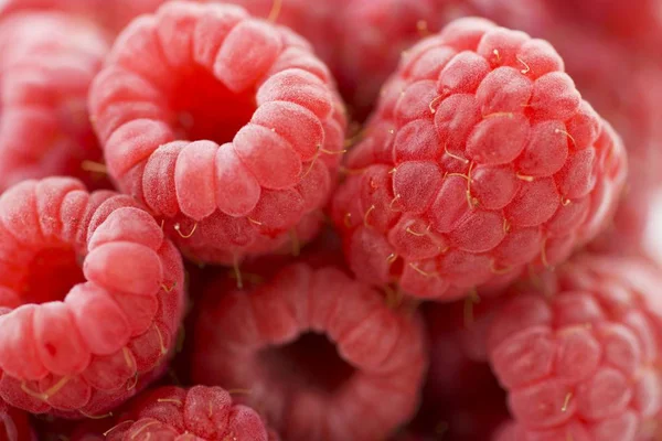 Frische reife Himbeeren — Stockfoto