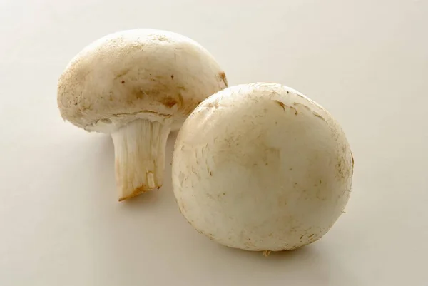 Button mushrooms, close-up — Stock Photo, Image