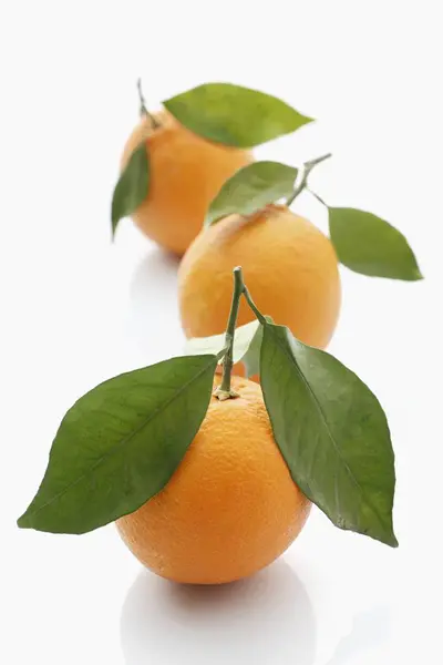 Fresh ripe oranges with leaves — Stock Photo, Image