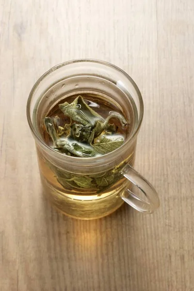 Tasse en verre de thé de sauge — Photo
