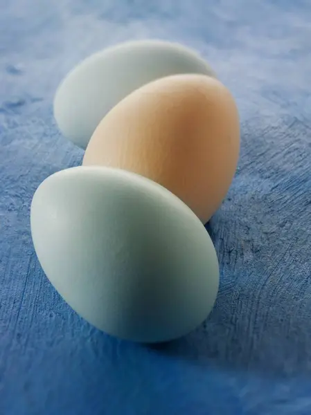 Cotswold Legbar hens eggs — Stock Photo, Image