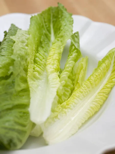 Romaine lettuce leaves — Stock Photo, Image