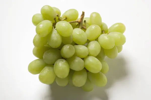 Ramo de uvas verdes frescas —  Fotos de Stock