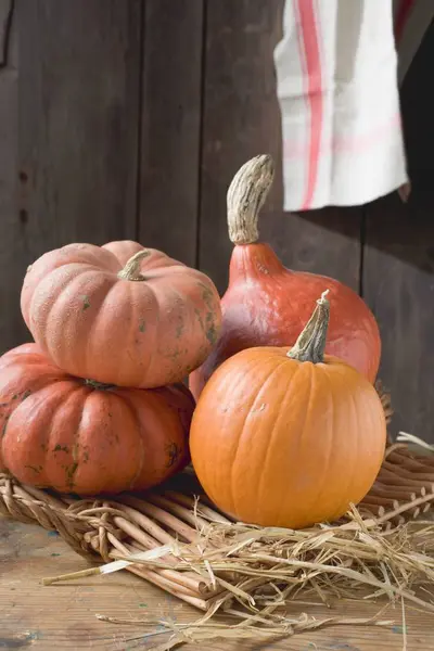 Pumpkins and squashes on wicker tray — Stock Photo, Image