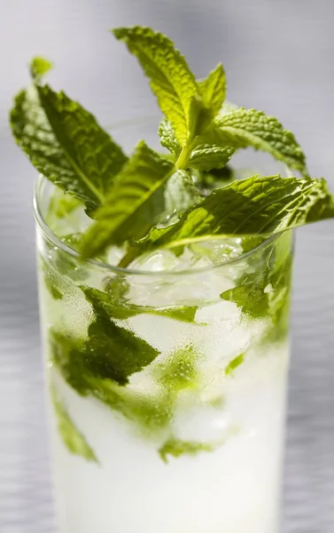 Mojito cocktail in glass — Stock Photo, Image