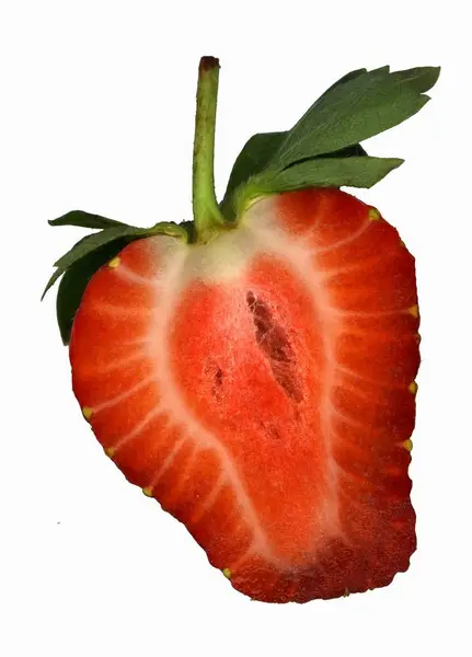 Ripe Half strawberry — Stock Photo, Image