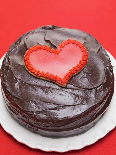 Tort czekoladowy na talerzu — Zdjęcie stockowe