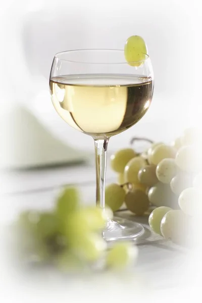 Виноградный сок в стекле — стоковое фото
